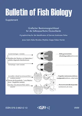 Stahl / Brunken / Geiger |  Grafischer Bestimmungsschlüssel für die Süßwasserfische Deutschlands | Buch |  Sack Fachmedien