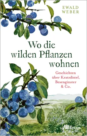 Weber |  Wo die wilden Pflanzen wohnen | Buch |  Sack Fachmedien