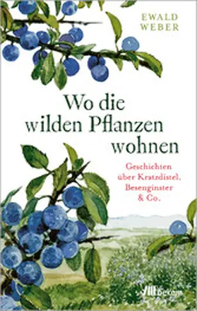 Weber |  Wo die wilden Pflanzen wohnen | eBook | Sack Fachmedien