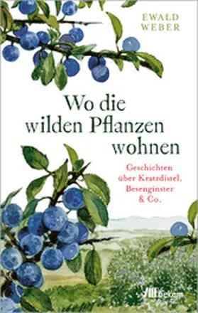 Weber |  Wo die wilden Pflanzen wohnen | eBook | Sack Fachmedien