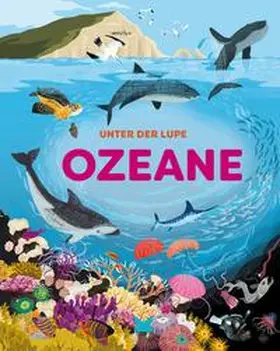 Richards / Bloggs |  Unter der Lupe: Ozeane | Buch |  Sack Fachmedien