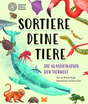 Bright | Sortiere deine Tiere | Buch | 978-3-96244-402-0 | www2.sack.de