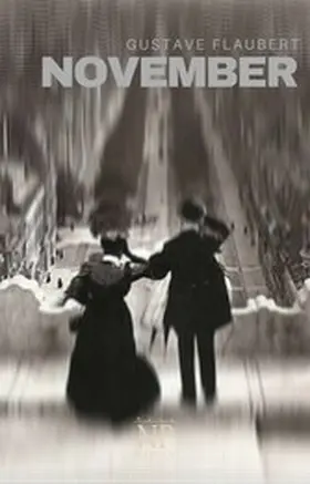 Flaubert |  November | eBook | Sack Fachmedien