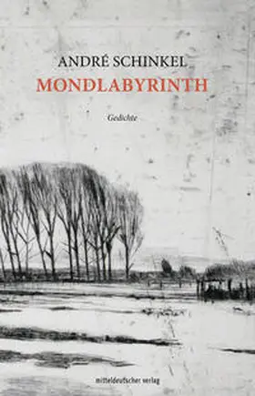 Schinkel |  Mondlabyrinth | Buch |  Sack Fachmedien