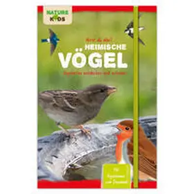 Vornholt / Held |  Hörst du das? Heimische Vögel: Vogelarten entdecken und schützen | Buch |  Sack Fachmedien
