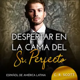 Scott |  Despertar en la cama del Sr. Perfecto | Sonstiges |  Sack Fachmedien
