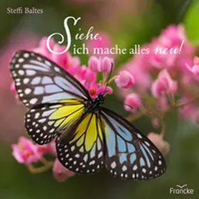 Baltes |  Siehe, ich mache alles neu! | Buch |  Sack Fachmedien