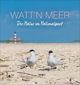  Watt'n Meer Postkartenkalender 2025 - Die Natur im Nationalpark | Sonstiges |  Sack Fachmedien