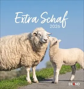  Extra Schaf Postkartenkalender 2026 | Sonstiges |  Sack Fachmedien