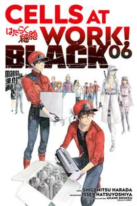 Shimizu / Harada |  Cells at Work! BLACK 6 | Buch |  Sack Fachmedien