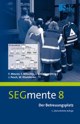 Rheinfelder / Pesch / Meurer |  Der Betreuungsplatz | Buch |  Sack Fachmedien