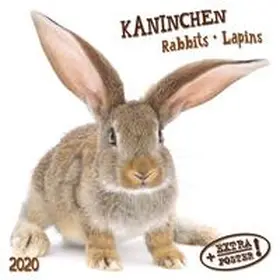  Kaninchen - Rabbits - Lapins 2020 Artwork | Sonstiges |  Sack Fachmedien