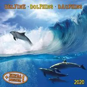  Delfine - Dolphins - Dauphins 2020 Artwork | Sonstiges |  Sack Fachmedien