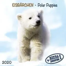  Eisbären - Polar Bears - Ours Polaires 2020. Artwork Edition | Sonstiges |  Sack Fachmedien