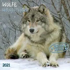  Wölfe - Wolves - Loups 2021 Artwork | Sonstiges |  Sack Fachmedien