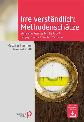 Hammer / Plößl | Irre Verständlich: Methodenschätze | E-Book | sack.de