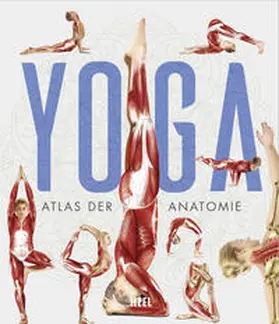 YOGA - Atlas der Anatomie | Buch | 978-3-96664-384-9 | www2.sack.de