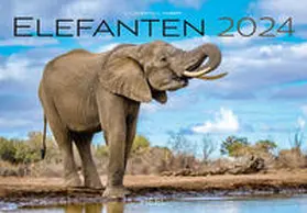 Klein |  Elefanten Kalender 2024 | Sonstiges |  Sack Fachmedien