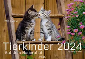 Klein |  Tierkinder auf dem Bauernhof Kalender 2024 | Sonstiges |  Sack Fachmedien