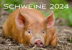 Klein |  Schweine Kalender 2024 | Sonstiges |  Sack Fachmedien