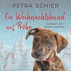 Schier | Ein Weihnachtshund auf Probe | Sonstiges | 978-3-96711-076-0 | sack.de
