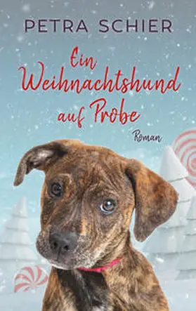 Schier |  Ein Weihnachtshund auf Probe | Buch |  Sack Fachmedien