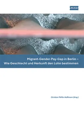 Minor - Projektkontor für Bildung und Forschung / Ünsal / Lushankina |  Migrant-Gender-Pay-Gap in Berlin — Wie Geschlecht und Herkunft den Lohn bestimmen | Buch |  Sack Fachmedien