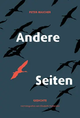 Maicher |  Andere Seiten | Buch |  Sack Fachmedien