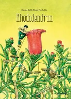 Calì |  Rhododendron | Buch |  Sack Fachmedien