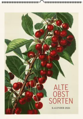 Alte Obstsorten. Wandkalender 2026 | Sonstiges | 978-3-96849-179-0 | sack.de