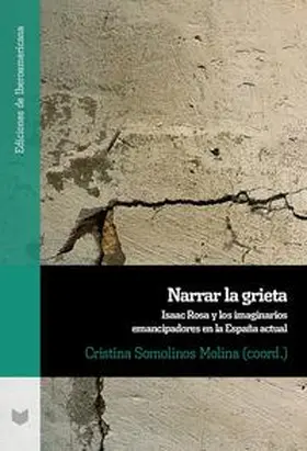 Somolinos Molina | Narrar la grieta. Isaac Rosa y los imaginarios emancipadores en la España actual | Buch | 978-3-96869-398-9 | sack.de