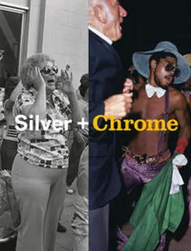 Epstein |  Silver + Chrome | Buch |  Sack Fachmedien