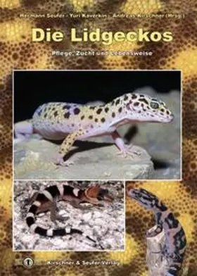 Seufer / Kaverkin / Kirschner |  Die Lidgeckos | Buch |  Sack Fachmedien