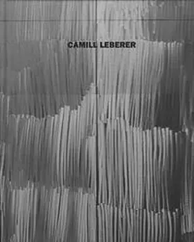  Camill Leberer | Buch |  Sack Fachmedien
