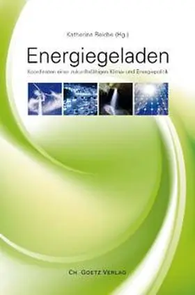 Reiche / Großmann / Hatakka |  Energiegeladen | Buch |  Sack Fachmedien