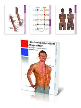 Krokowski |  Taschenkompendium Akupunktur | Buch |  Sack Fachmedien