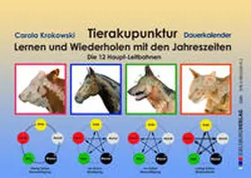 Krokowski |  Tierakupunktur Lernkalender mit Dauerkalendarium (Akupunkturpunkte, Leitbahnen, Funktionskreise) | Sonstiges |  Sack Fachmedien