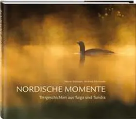 Bollmann / Klotz |  Nordische Momente | Buch |  Sack Fachmedien
