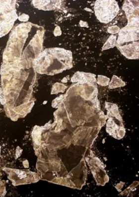 Hamel |  600 FUSS ÜBER NN – DAS WATTENMEER. | Buch |  Sack Fachmedien