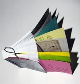 Stegmann / Jennifer / Kroll |  "The lunatics are on the loose …" EUROPEAN FLUXUS FESTIVALS 1962-1977 | Buch |  Sack Fachmedien