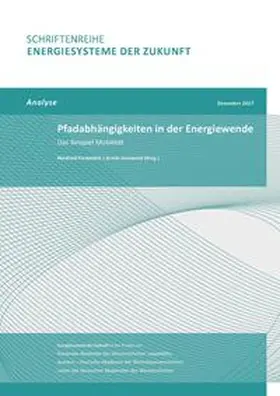 Fischedick / Grunwald |  Pfadabhängigkeiten in der Energiewende | Buch |  Sack Fachmedien
