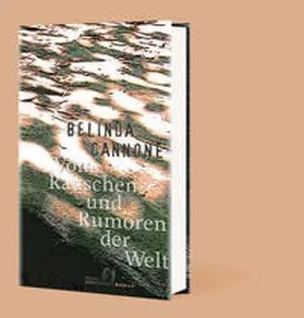 Cannone |  Vom Rauschen und Rumoren der Welt | Buch |  Sack Fachmedien