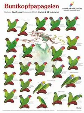 Arndt |  Poster Buntkopfpapageien | Sonstiges |  Sack Fachmedien