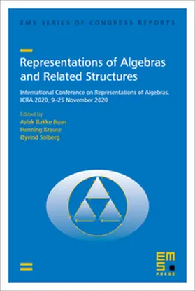 Buan / Krause / Solberg |  Representations of Algebras and Related Structures | Buch |  Sack Fachmedien