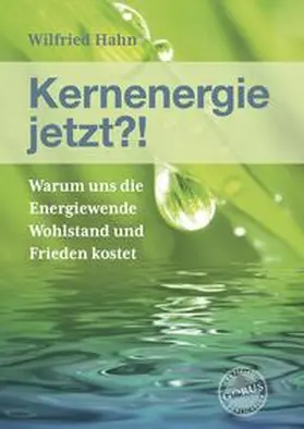 Hahn |  Kernenergie jetzt?! | Buch |  Sack Fachmedien