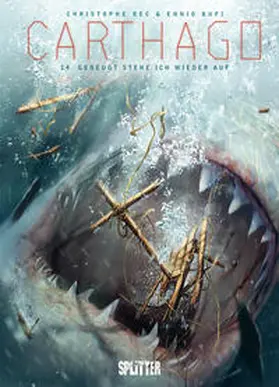 Bec |  Carthago. Band 14 | Buch |  Sack Fachmedien