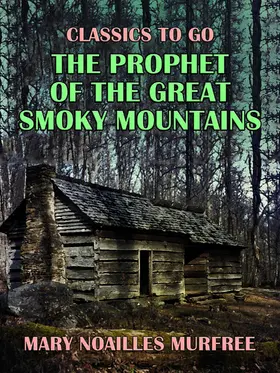 Murfree |  The Prophet of the Great Smoky Mountains | eBook | Sack Fachmedien
