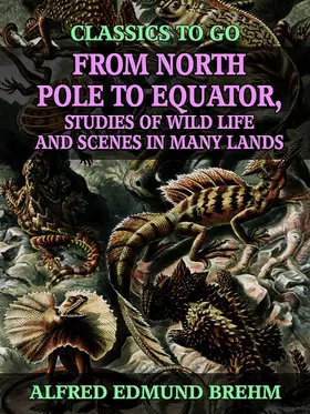 Brehm |  From North Pole to Equator, Studies of Wild Life and Scenes in Many Lands | eBook | Sack Fachmedien