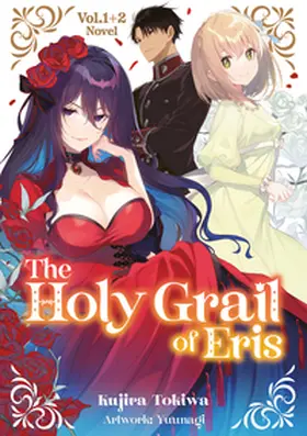 Tokiwa / Gottselig |  The Holy Grail of Eris (Light Novel), Doppelband 01 | Buch |  Sack Fachmedien
