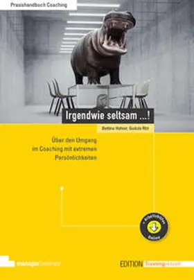 Hafner / Ritz | Irgendwie seltsam ...! | E-Book | www2.sack.de